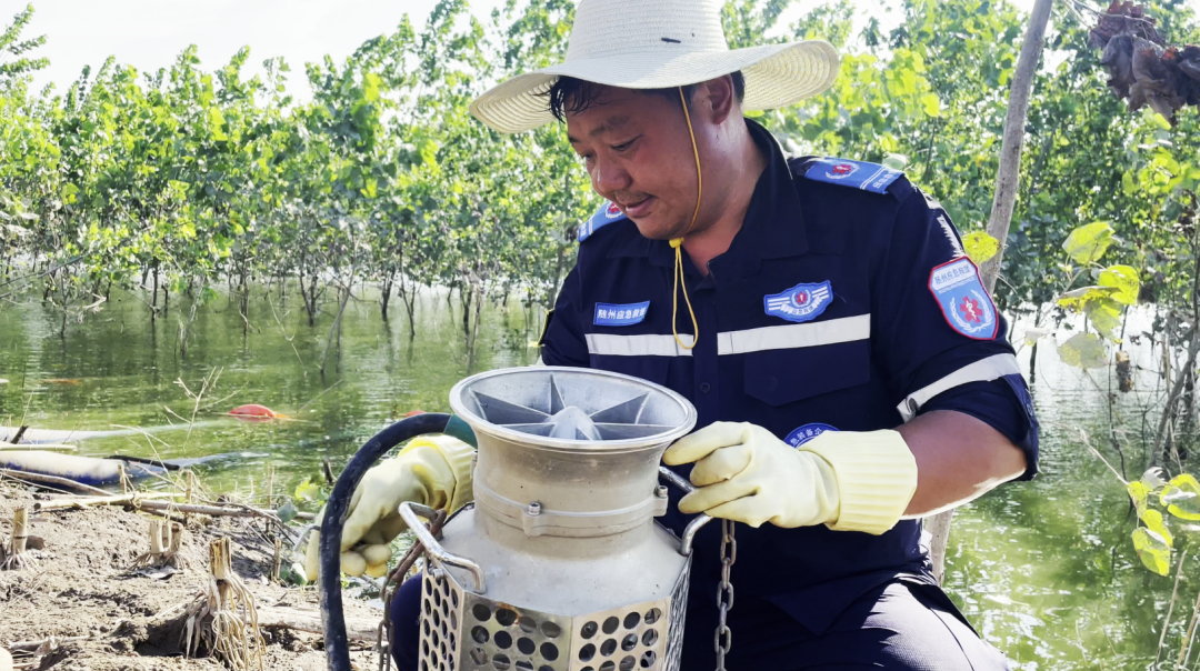 2025020518696411.png 4.png