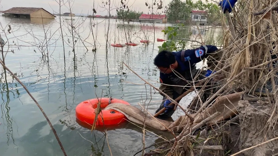 2025020567456131.jpg 2.webp.jpg